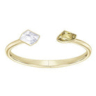Swarovski 5377983