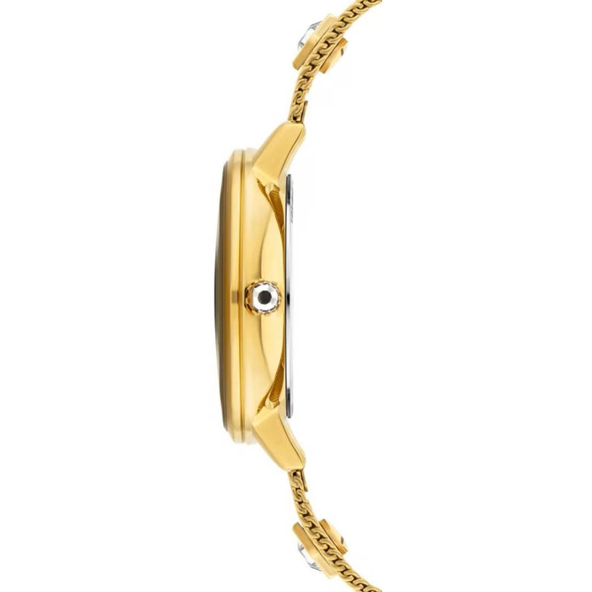 Police Armbanduhr Damen SOCOTRA Gold PL16031MSG 22MMA