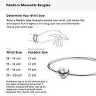 Pandora Damen Armband 925/1000 Sterling Silber Herz Verschluss Ohne Steine Sterling Silber Ohne Steine Ohne Stein Sterling Silber Ohne Stein Sterling Silber Ohne Stein Ohne Stein Ohne Stein Ohne Stein