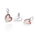 Pandora -Bead Charms 925 Sterlingsilber 797820ENMX