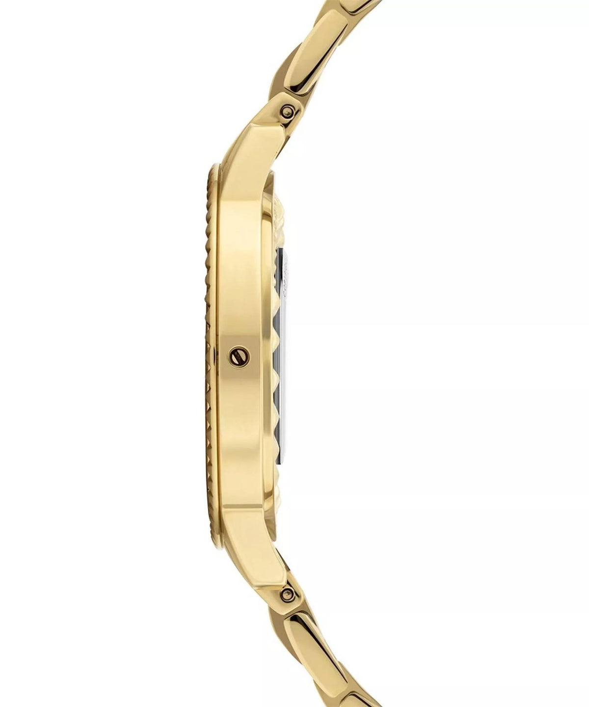 Police Armbanduhr Quarzuhr Damen PILAT Gold PL.16037BSG/22M
