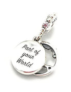 Pandora -Bead Charms 925_Sterling_Silber 798231CZ