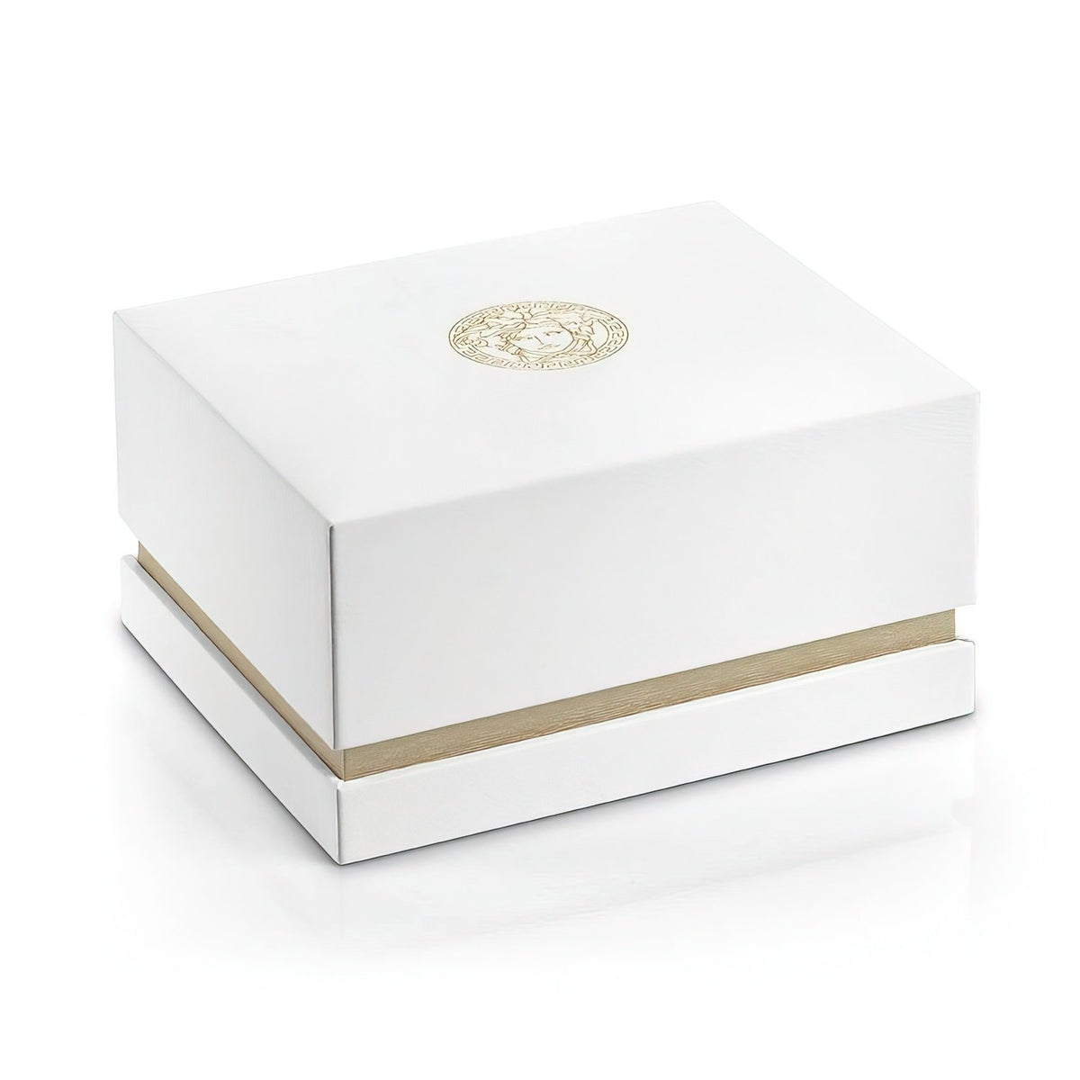 Versace Herrenuhr V-CIRCLE Greca Edition