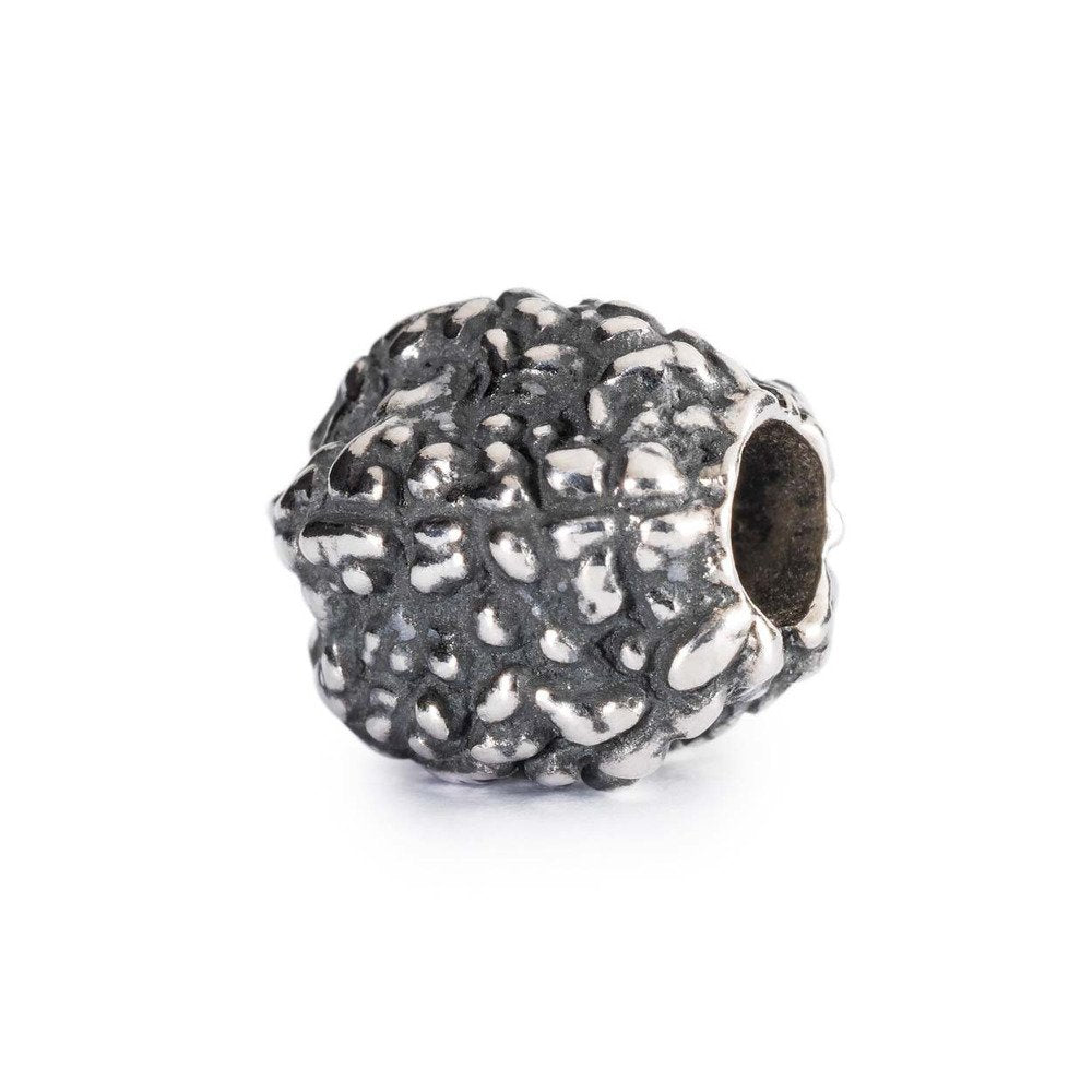 Trollbeads Tränen Shivas 841004102003
