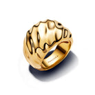 Gold_54